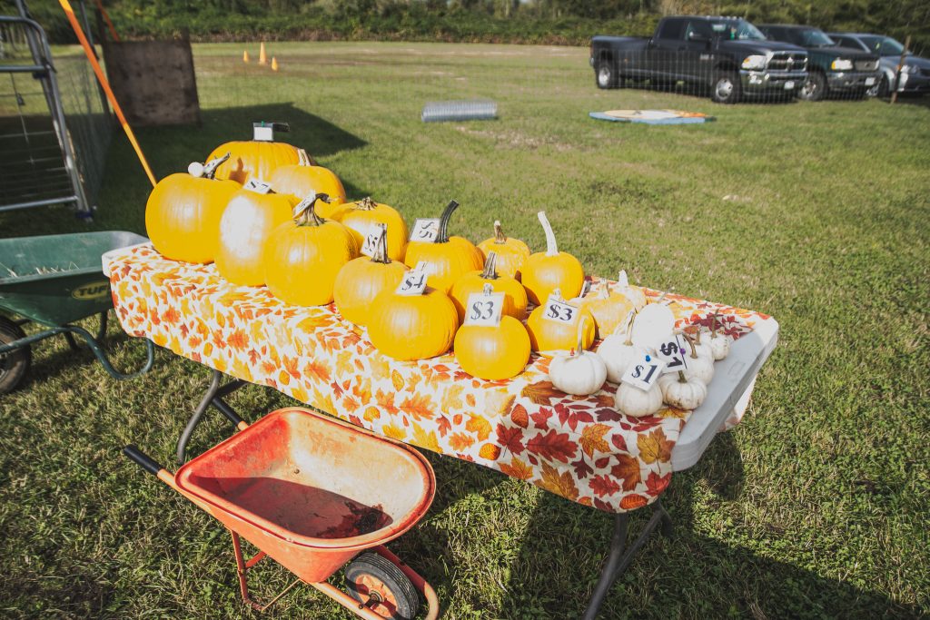 Pumpkin Pricing at Hazelmere