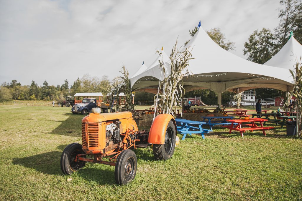 An Old Tractor at Hazelmere