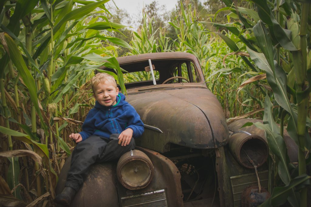 A on the Car in the maze