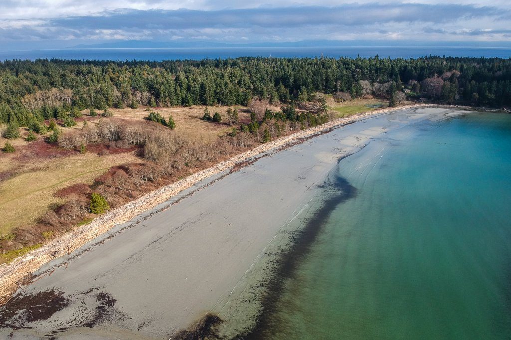 Tribune Bay - Hornby Island by Tyler Ingram