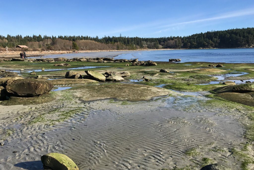 Tribune Bay aka Big Trib on Hornby Island