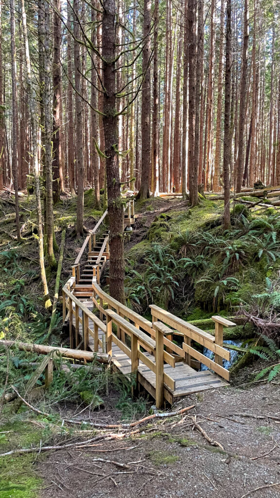 Viewing platform at the Eternal Fountain