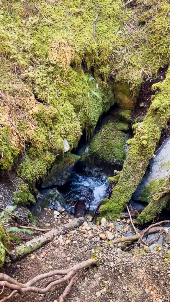 One of the karst windows at the Eternal Fountain