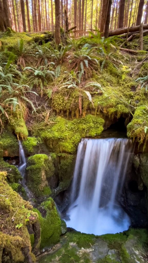 The Eternal Fountain itself